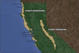giant redwoods & sequoias map 1