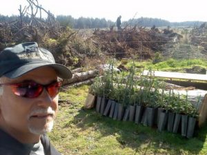 Archangel champion coast redwood clones arrive in Port Orford Community Stewardship Area to restore clear cut near Port Orford, Oregon.