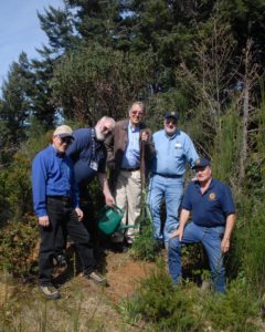Port Orford Rotary club members plant Archangel champion cost redwood clone in town.